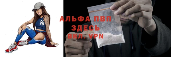 таблы Дмитриев