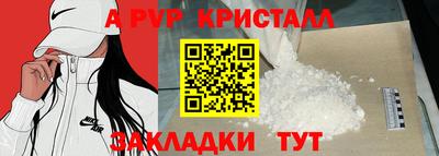 индика Кингисепп