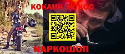 индика Кингисепп