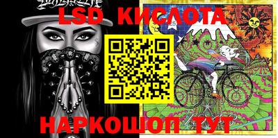 индика Кингисепп