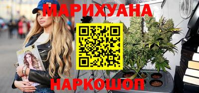 индика Кингисепп