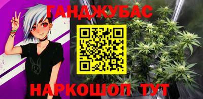 индика Кингисепп