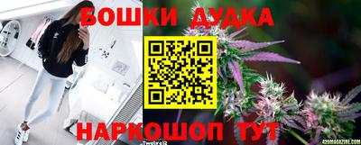 ГАЛЛЮЦИНОГЕННЫЕ ГРИБЫ Кинель