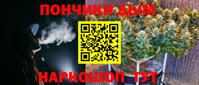 индика Кингисепп