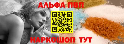 индика Кингисепп