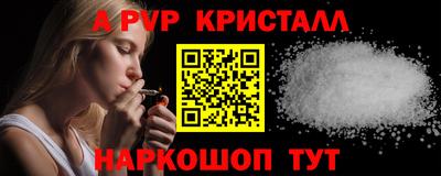 индика Кингисепп