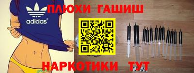 индика Кингисепп
