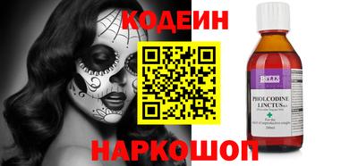 индика Кингисепп