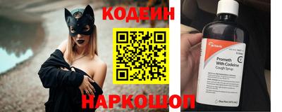 индика Кингисепп