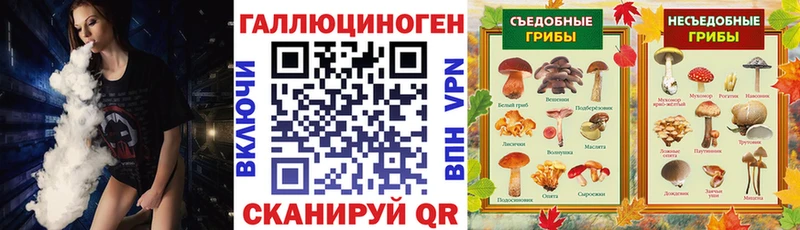 купить  цена  Солнечногорск  Галлюциногенные грибы ЛСД 