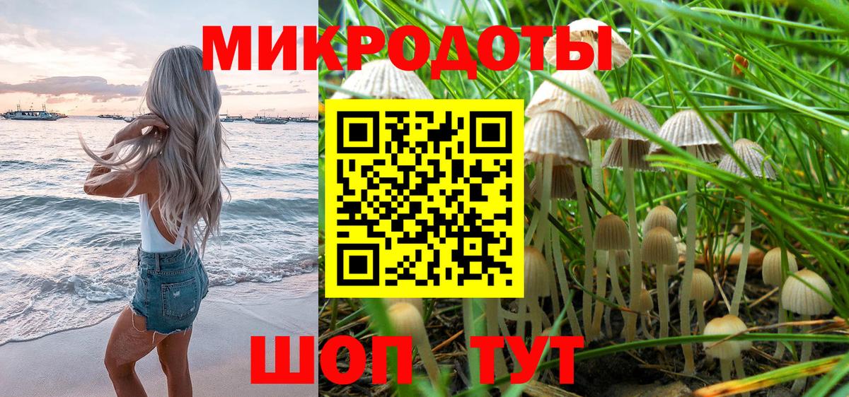 купить   Псилоцибиновые грибы Psilocybe  Вход с VPN  Солнечногорск  Псилоцибиновые грибы ЛСД 