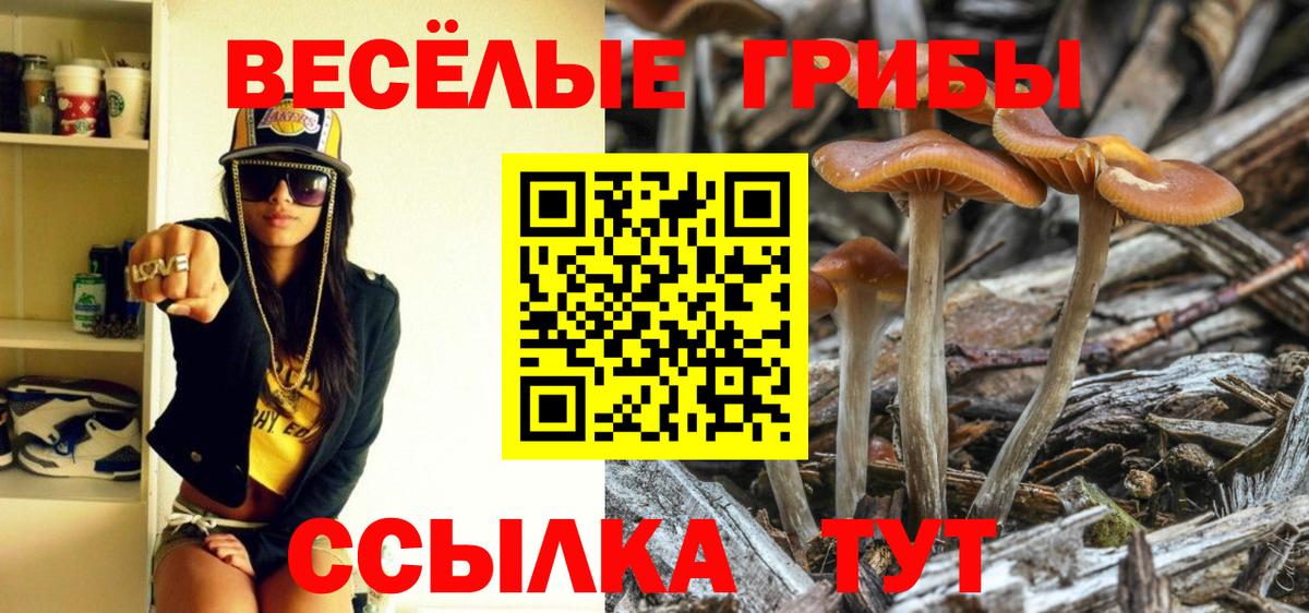 Псилоцибиновые грибы ЛСД Солнечногорск