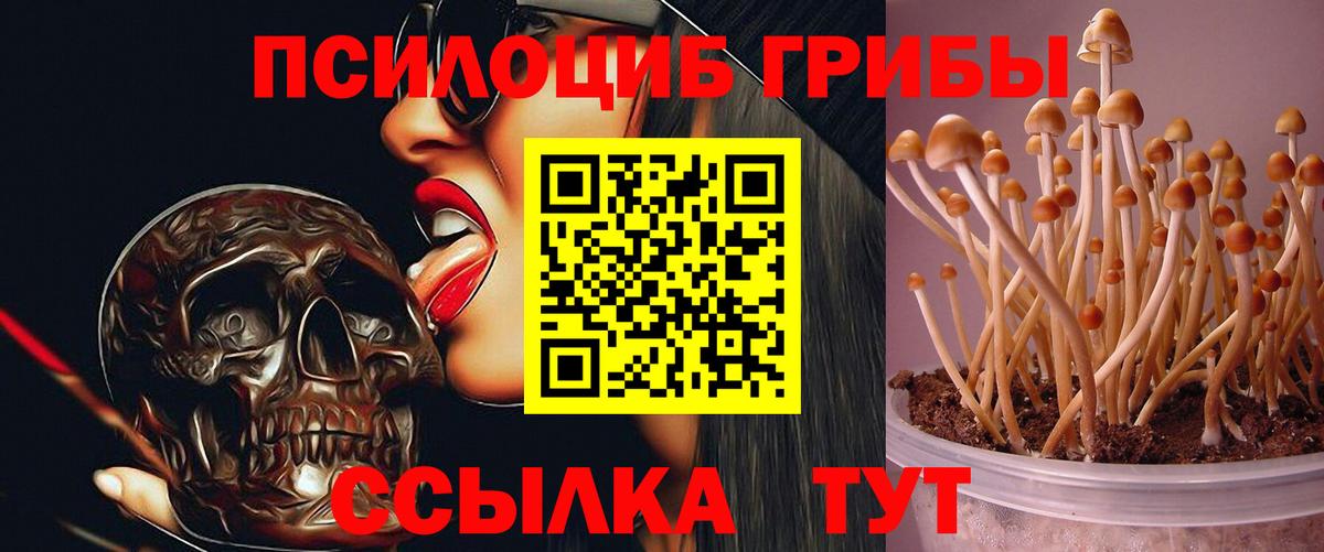 Галлюциногенные грибы Magic Shrooms  Солнечногорск 